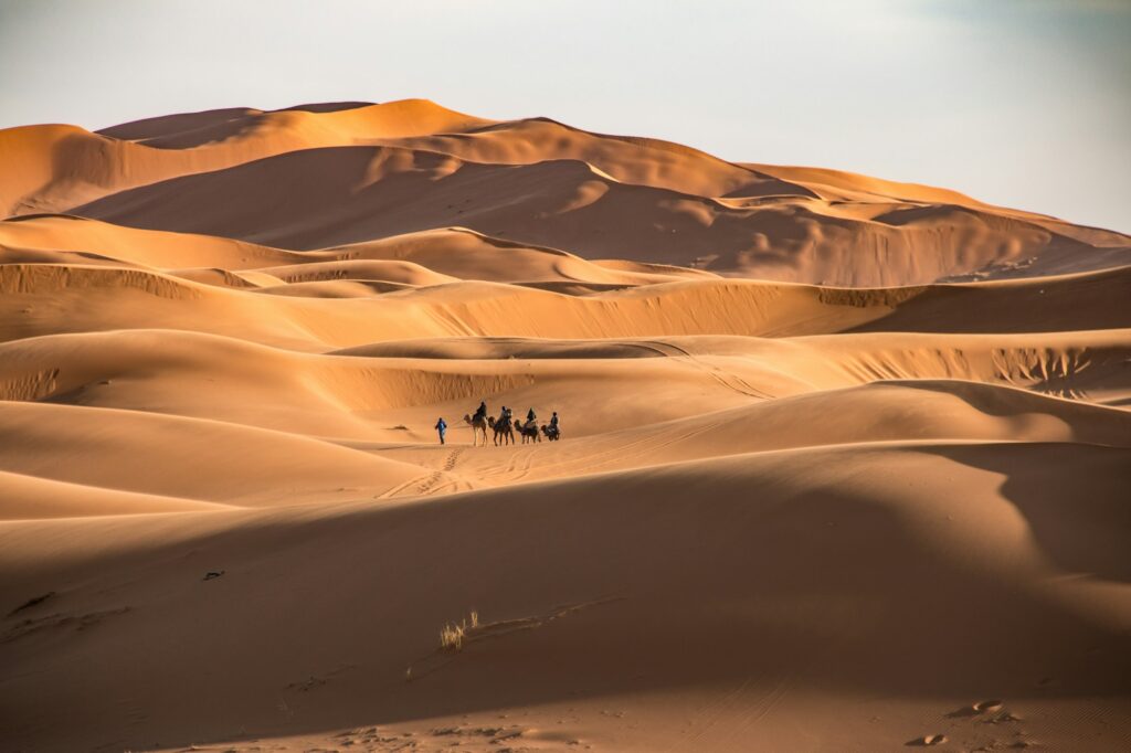 Wide view of Sahara desert dunes near Merzouga with a small camel caravan crossing at golden hour